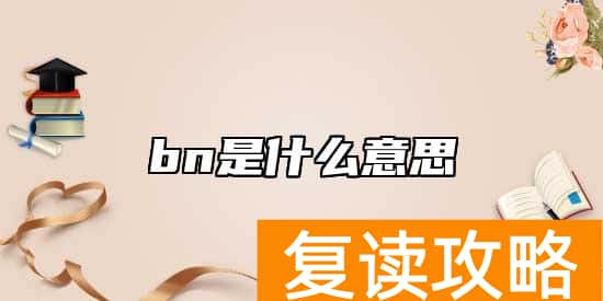bn是什么意思