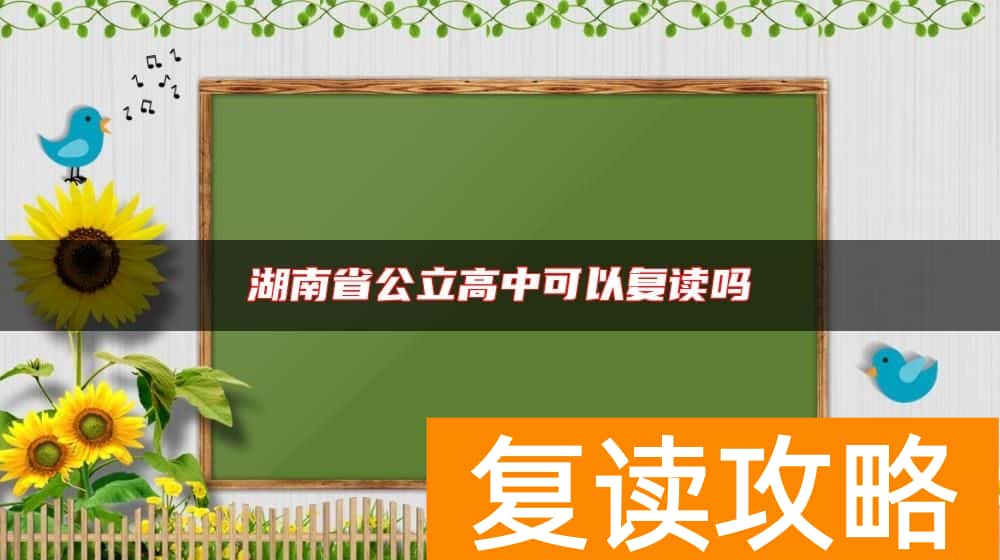 湖南省公立高中可以复读吗