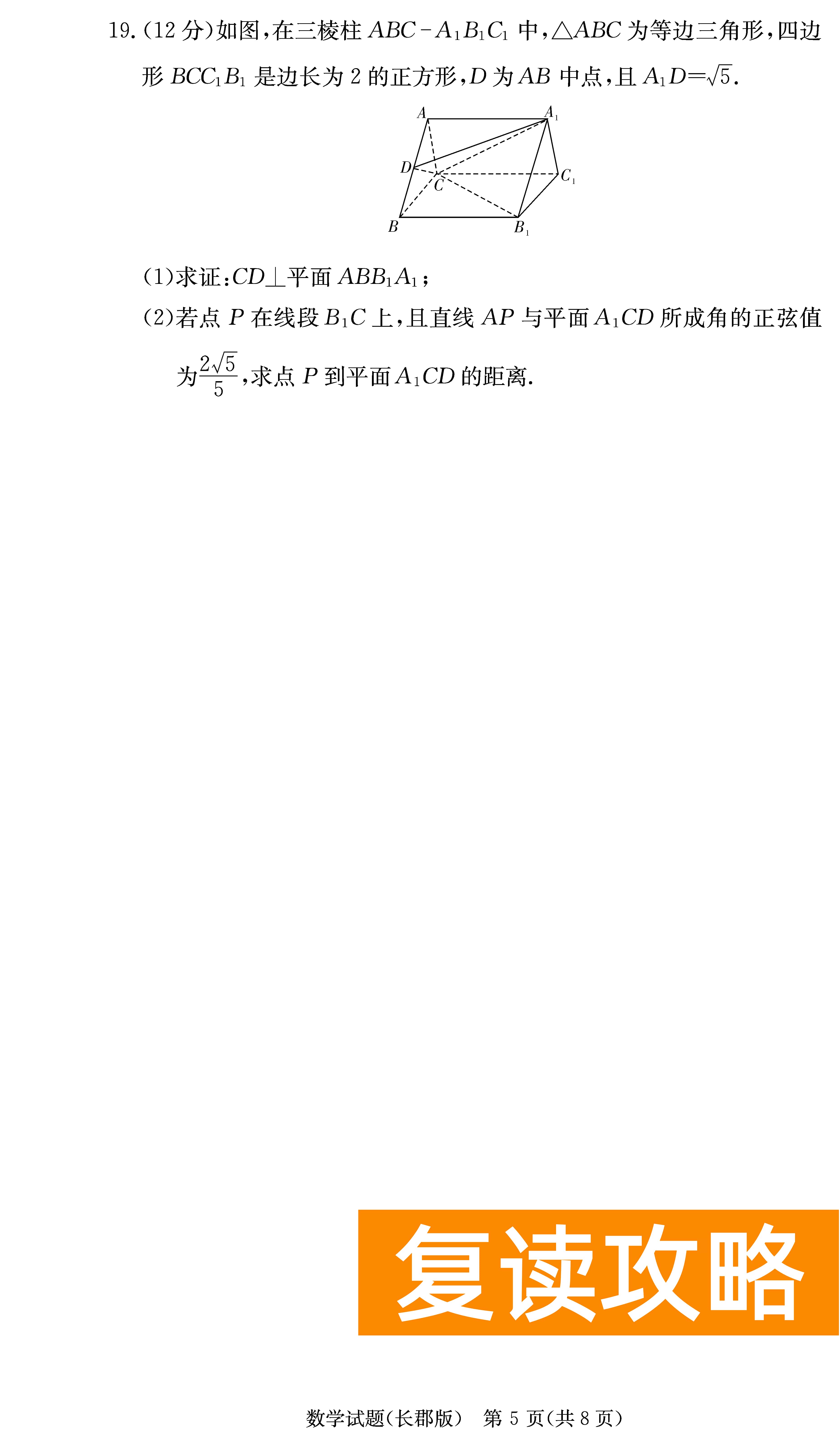 2024届湖南长郡中学高三月考（二）数学试卷及答案