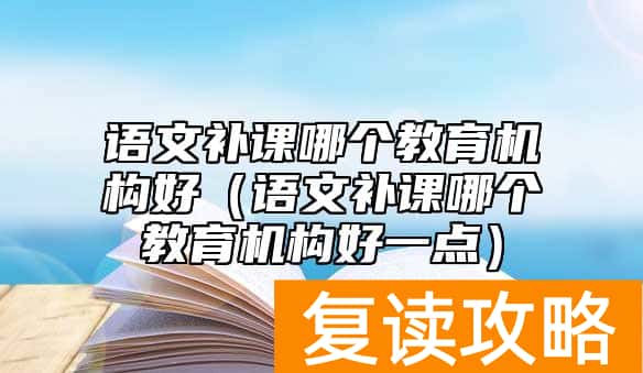 语文补课哪个教育机构好（语文补课哪个教育机构好一点）