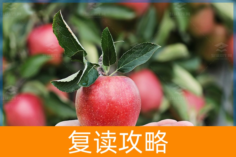 复读之旅，收获的不仅是成绩