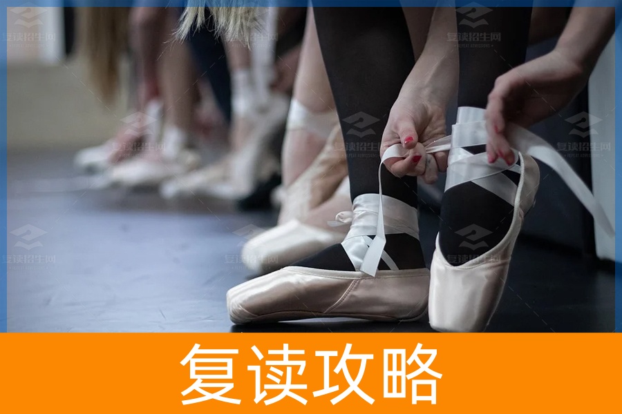 艺考文化课该如何冲刺高考？（艺考文化课如何学习）