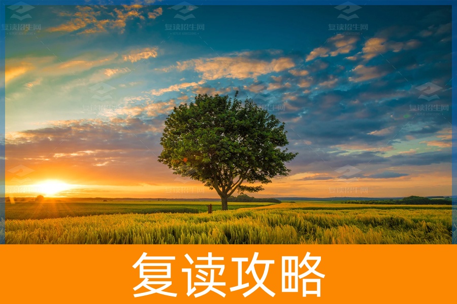 高考失利，复读是智慧的选择吗？