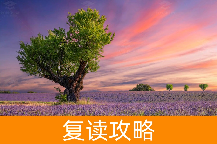 复读一年，是否值得？——深度解析与全面指南