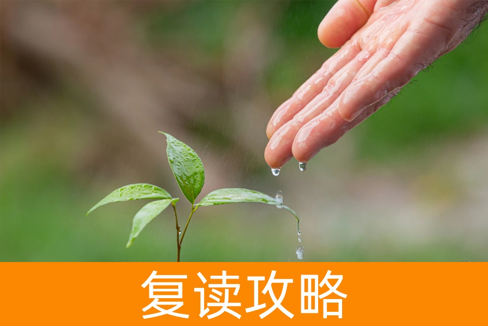 探索高三复读班的入学条件：准备和期望