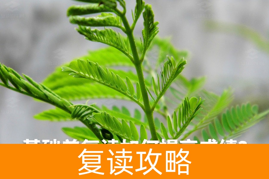 基础差复读如何提高成绩？这几招帮你快速提升！