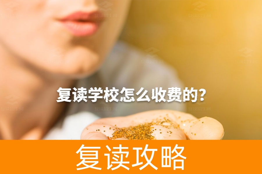 全面解析：复读学校收费标准及详细费用清单
