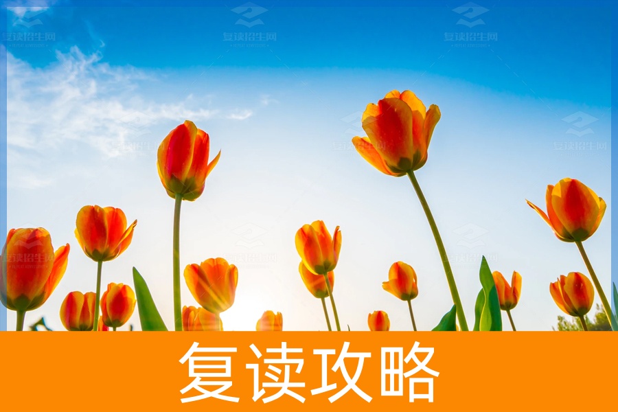 复读一年，我收获的远不止成绩的提升