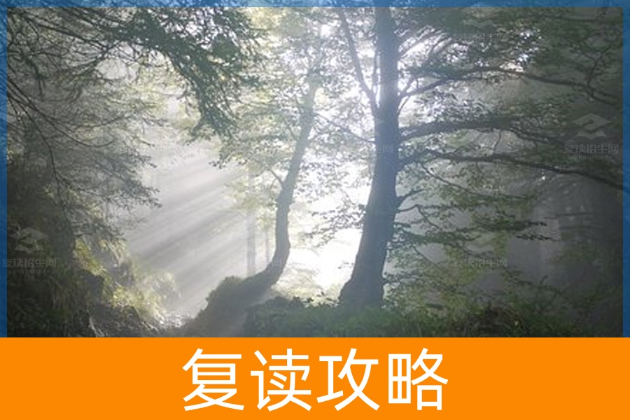 高考复读：方法论胜于努力