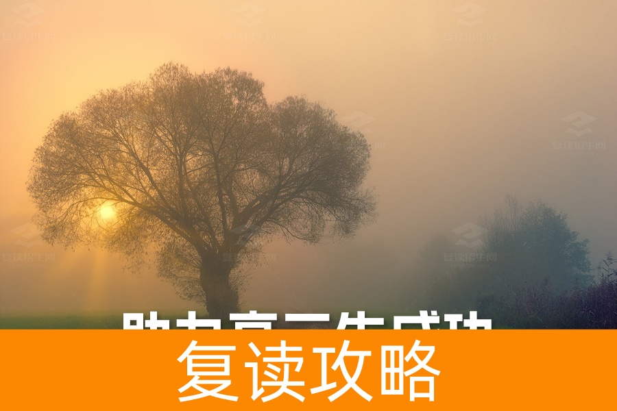 家长必读：助力高三生成功备考的三大黄金法则