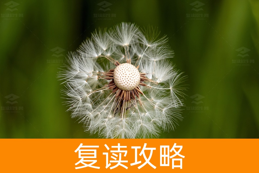 克服高考紧张的五大妙招，助你从容应考！