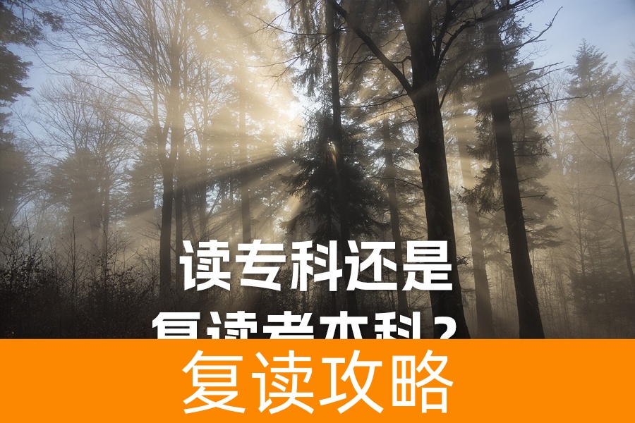 读专科还是复读考本科？全面解析助你做出最佳选择