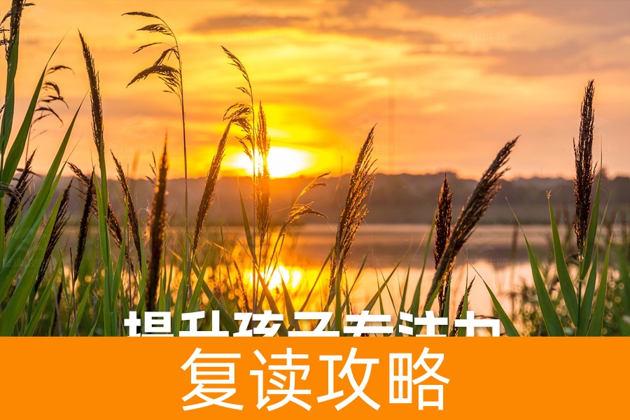 提升孩子专注力的有效策略