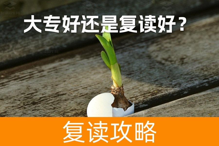 大专好还是复读好？如何做出最佳选择