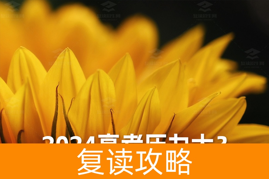 2024高考压力大？三大有效缓解方法助你轻松应考