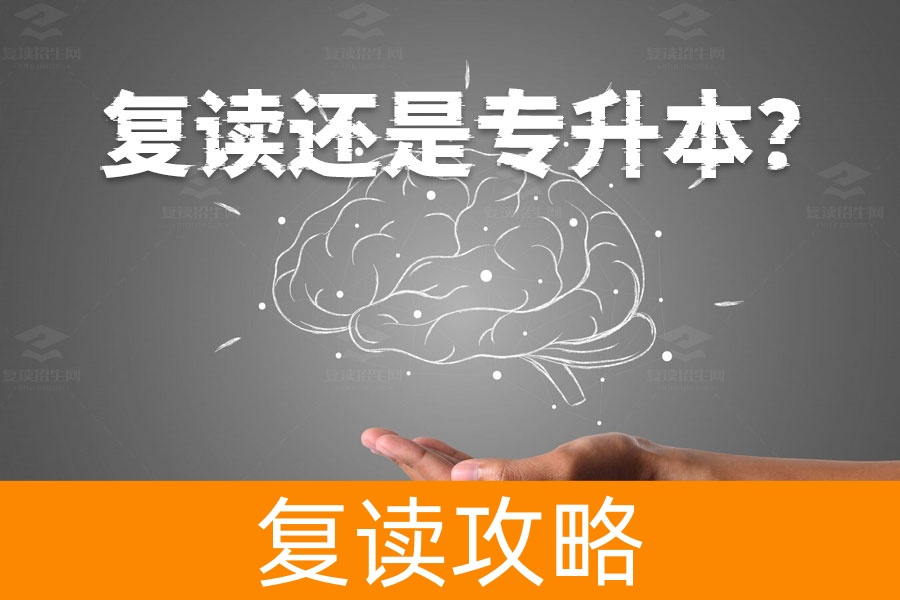 复读还是专升本？一文帮你解答哪个选择更好！